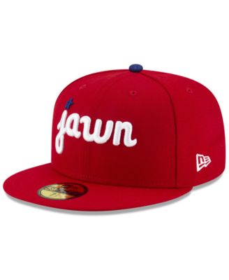 lehigh valley ironpigs hat