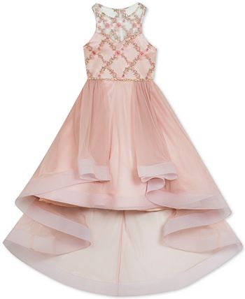 Rare Editions Big Girl's Lace Illusion Dress Pink Size 16