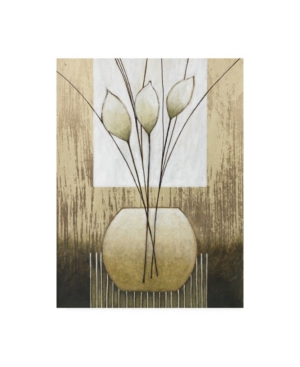 Trademark Global Pablo Esteban White And Tan Floral Abstract Canvas Art In Multi