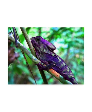 Trademark Global Dana Brett Munich Purple Iguana Canvas Art In Multi