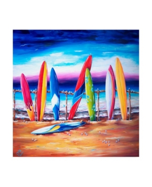 Trademark Global Deborah Broughton Surf Surfect 2 Canvas Art In Multi
