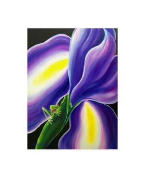 Trademark Global Deborah Broughton Frog Iris Frog Canvas Art In Multi