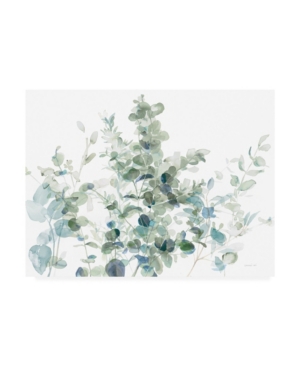 Trademark Global Danhui Nai Eucalyptus I Cool Canvas Art In Multi