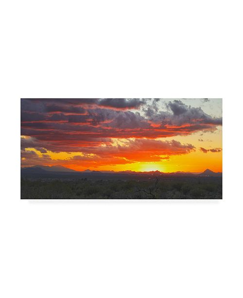 Trademark Global Mitch Catanzaro Sonoran Desert Sunset Canvas Art
