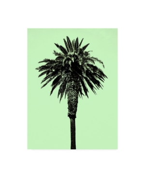 Trademark Global Erik Asl Palm Tree 1996 (green) Canvas Art In Multi