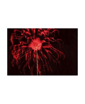 Trademark Global Kurt Shaffer Abstract Fireworks In Red Canvas Art In Multi