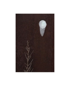 Kurt Shaffer Details of Winter Canvas Art - 20