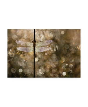 Rob Blanken Morning Light Dragonfly Canvas Art - 20