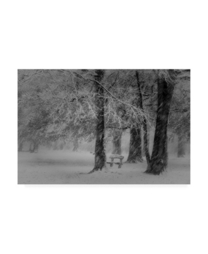 Saskia Dingemans Transformation Winter Mastbos Canvas Art - 20