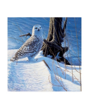 Michael Budden Winter Snow Canvas Art - 15