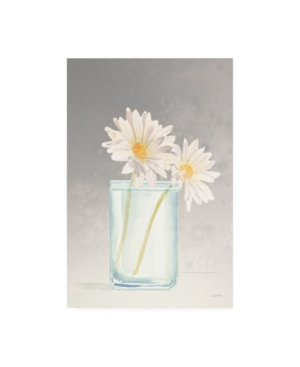 Trademark Global James Wiens Tranquil Blossoms Iv Canvas Art In Multi