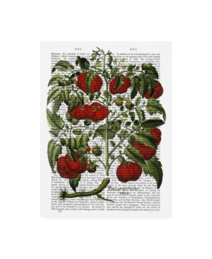 Trademark Global Fab Funky Tomato Plant Canvas Art In Multi
