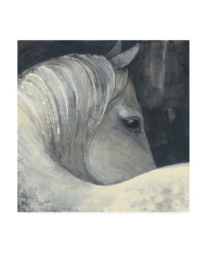 Trademark Global Albena Hristova Bijou Horse Canvas Art In Multi
