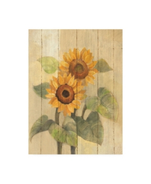 Trademark Global Albena Hristova Summer Sunflowers I On Barn Board Canvas Art In Multi