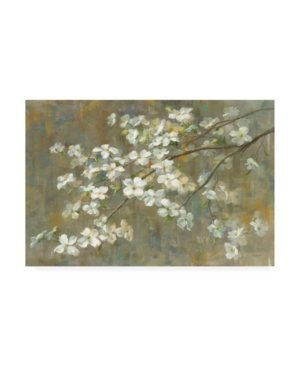 Trademark Global Danhui Nai Dogwood In Spring Crop Canvas Art In Multi