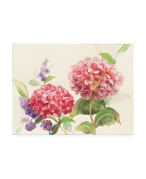 Trademark Global Danhui Nai Watercolor Hydrangea Canvas Art In Multi