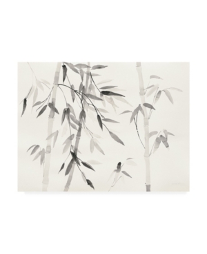 Trademark Global Danhui Nai Bamboo Leaves Iii Canvas Art In Multi