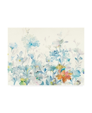 Trademark Global Danhui Nai Translucent Florals Canvas Art In Multi