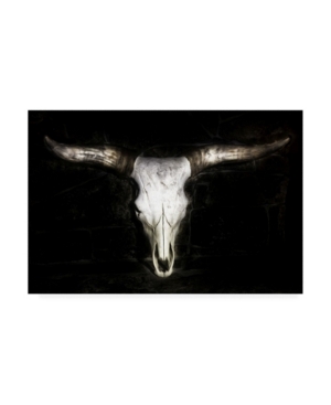 Trademark Global Ph Burchett Cow Skull Canvas Art In Multi