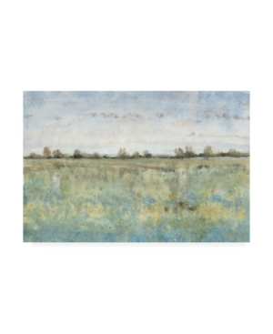 Trademark Global Tim Otoole Grazing Land Iii Canvas Art In Multi