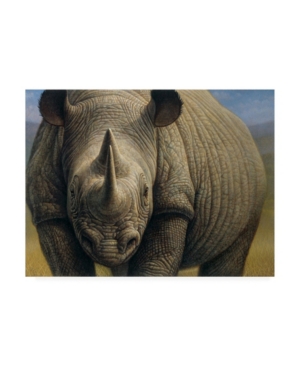 Trademark Global Dan Craig Rhinos Portrait Canvas Art In Multi