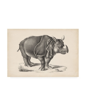 Trademark Global Brodtmann Brodtmann Rhinoceros Canvas Art In Multi