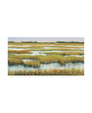 Trademark Global Tim Otoole Serene Marshland Ii Canvas Art In Multi