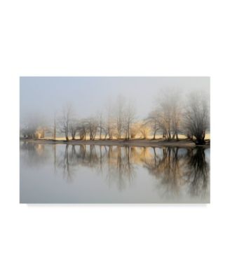 Trademark Global Bor January Morning Canvas Art - 37" x 49"