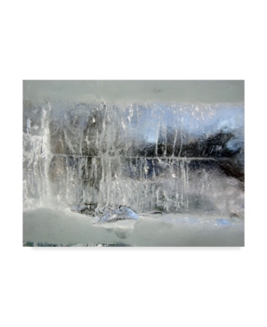 Andre Pelletier Fairy Winter Canvas Art - 20