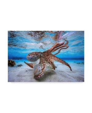 Trademark Global Barathieu Gabriel Dancing Octopus Canvas Art In Multi
