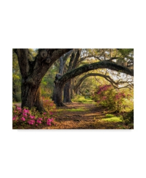 Trademark Global Danny Head Under The Live Oaks I Canvas Art In Multi