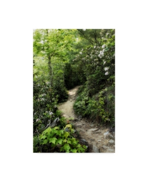 Danny Head Mountain Trail Canvas Art - 20