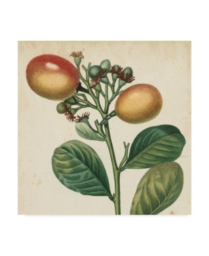 Vision Studio Garden Bounty I Canvas Art - 15