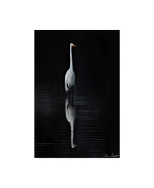 Trademark Global David Drost Elegant Egret I Canvas Art In Multi