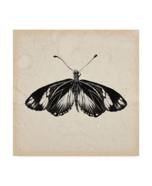 Trademark Global Melissa Wang Butterfly Study Vi Canvas Art In Multi