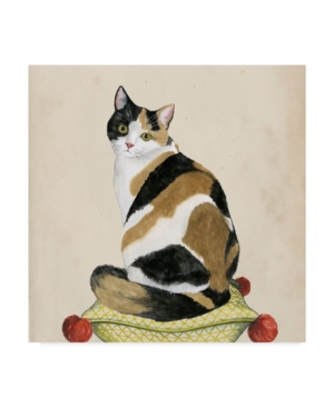 Trademark Global Grace Popp Lady Cat Iii Canvas Art In Multi