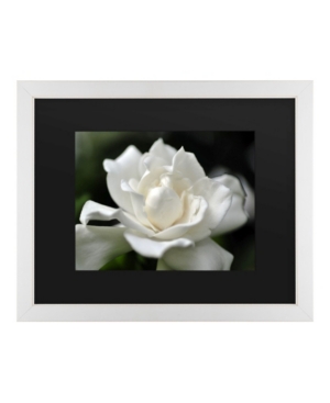 Trademark Global Kurt Shaffer Lovely Gardenia Matted Framed Art In Multi
