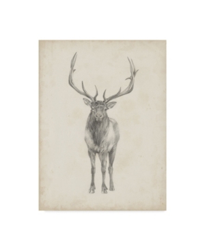 Trademark Global Ethan Harper Elk Study Canvas Art In Multi