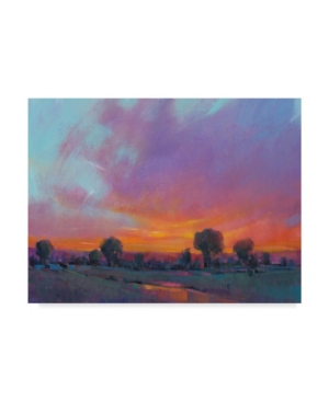 Trademark Global Tim Otoole Fiery Sunset I Canvas Art In Multi