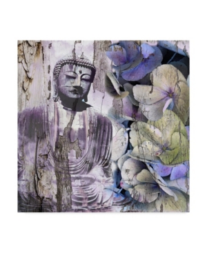 Trademark Global Surma & Guillen Timeless Buddha Iii Canvas Art In Multi