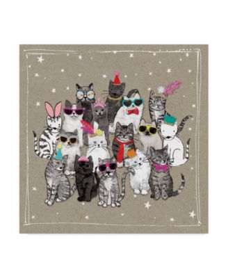 fancy pants for cats