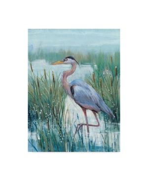 Trademark Global Tim Otoole Marsh Heron Ii Canvas Art In Multi