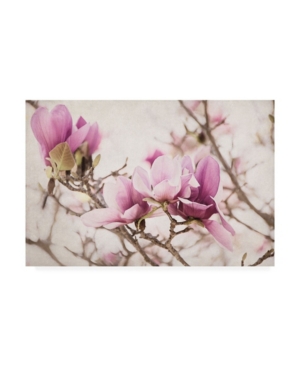 Elizabeth Urquhart Spring is in the Air Iii Canvas Art - 20