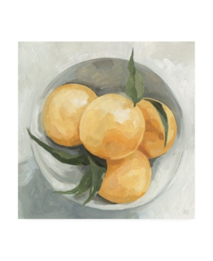 Trademark Global Emma Scarvey Fruit Bowl I Canvas Art In Multi