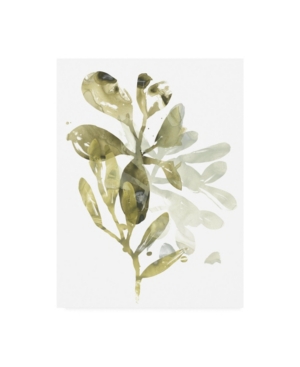 Trademark Global June Erica Vess Lichen And Leaves I Canvas Art In Multi