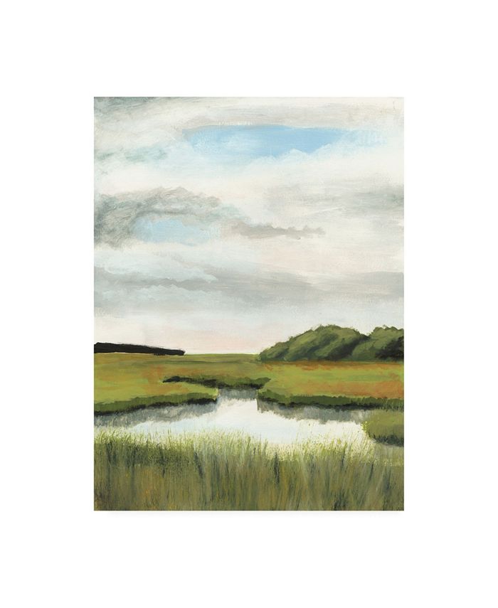 Trademark Global Naomi Mccavitt Marsh Landscapes II Canvas Art - 37