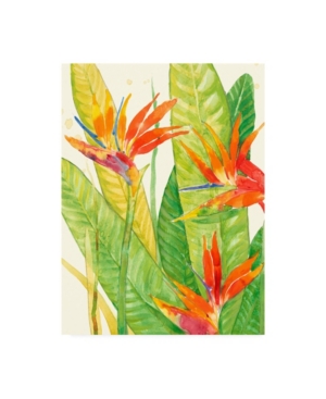 Trademark Global Tim Otoole Watercolor Tropical Flowers Iii Canvas Art In Multi