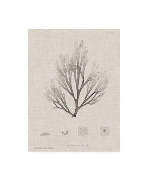 Trademark Global Henry Bradbury Charcoal And Linen Seaweed Iii Canvas Art In Multi