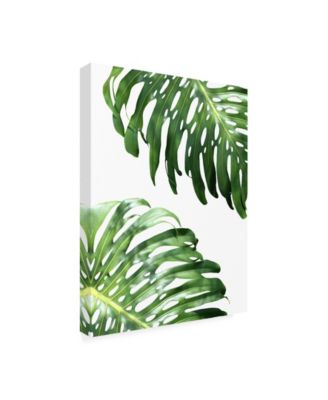 Trademark Global Lexie Gree Double Philodendron (color) Canvas Art - 15.5" x 21"