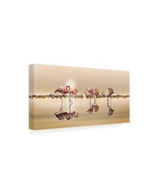Trademark Global Nasser Osman Flamingos Reflection Canvas Art - 15" x 20"